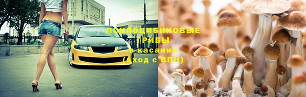 шишки Иннополис