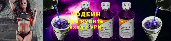 шишки Иннополис