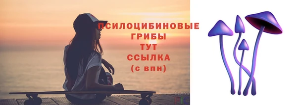 шишки Иннополис