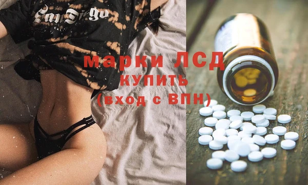 спиды Инта