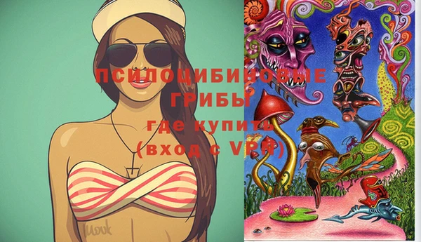 спиды Инта