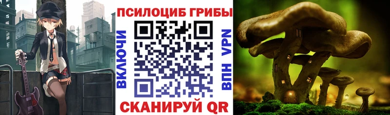 Псилоцибиновые грибы мицелий  купить   Кимовск 